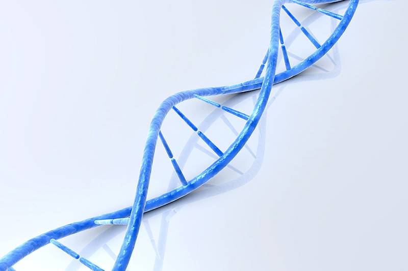 1516789805689799.jpg 東莞醫(yī)幫醫(yī)療科技有限公司